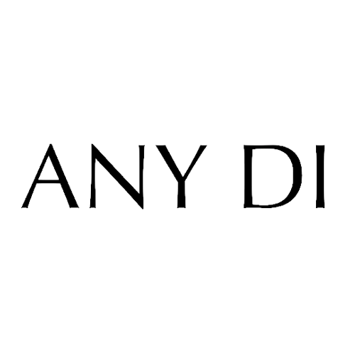 Logo AnyDi